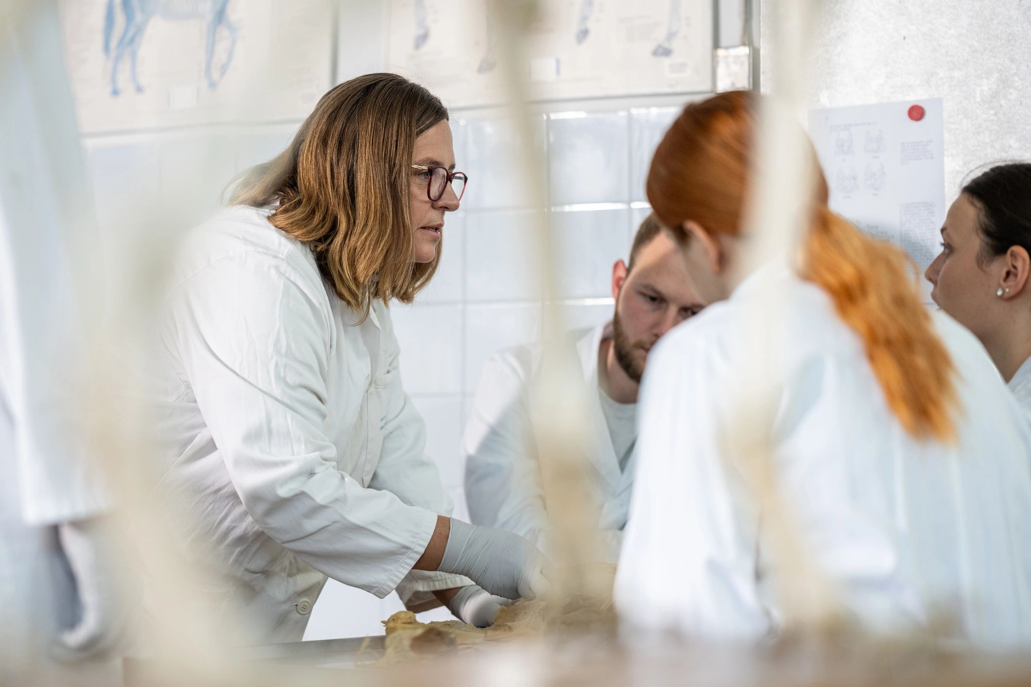 Professional consultation setting representing customer support